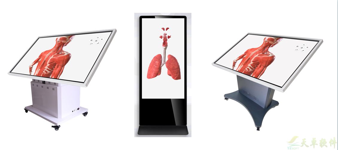 人体3D虚拟解剖平台(图1)