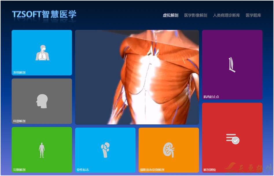 人体3D虚拟解剖平台(图2)