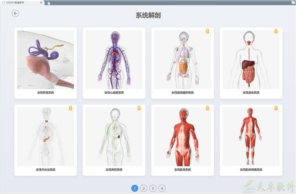 人体3D虚拟解剖平台(图3)