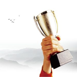 我公司获得名优软件企业认定称号